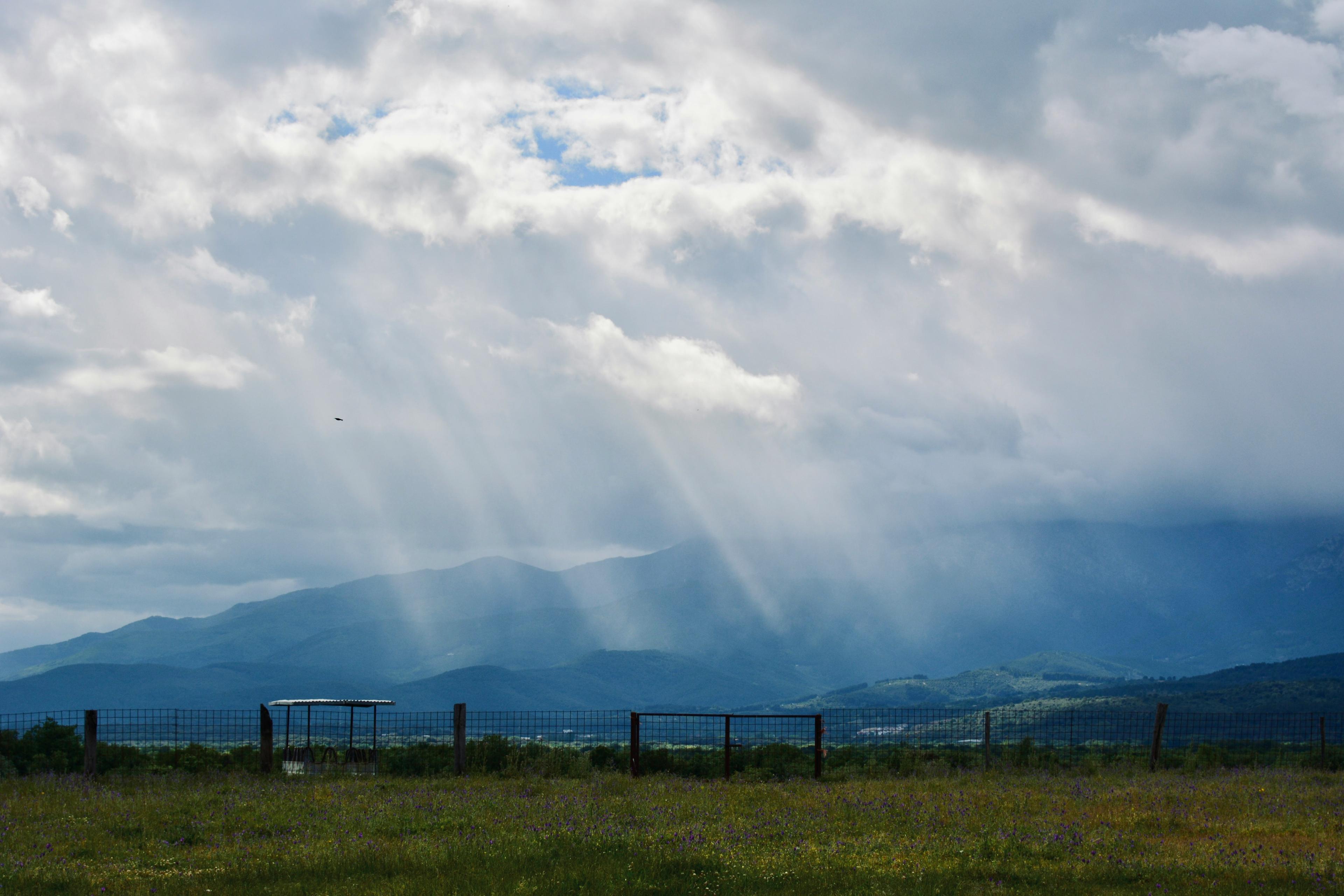 Sofia olmedo g W Hw3 U04g Bw unsplash