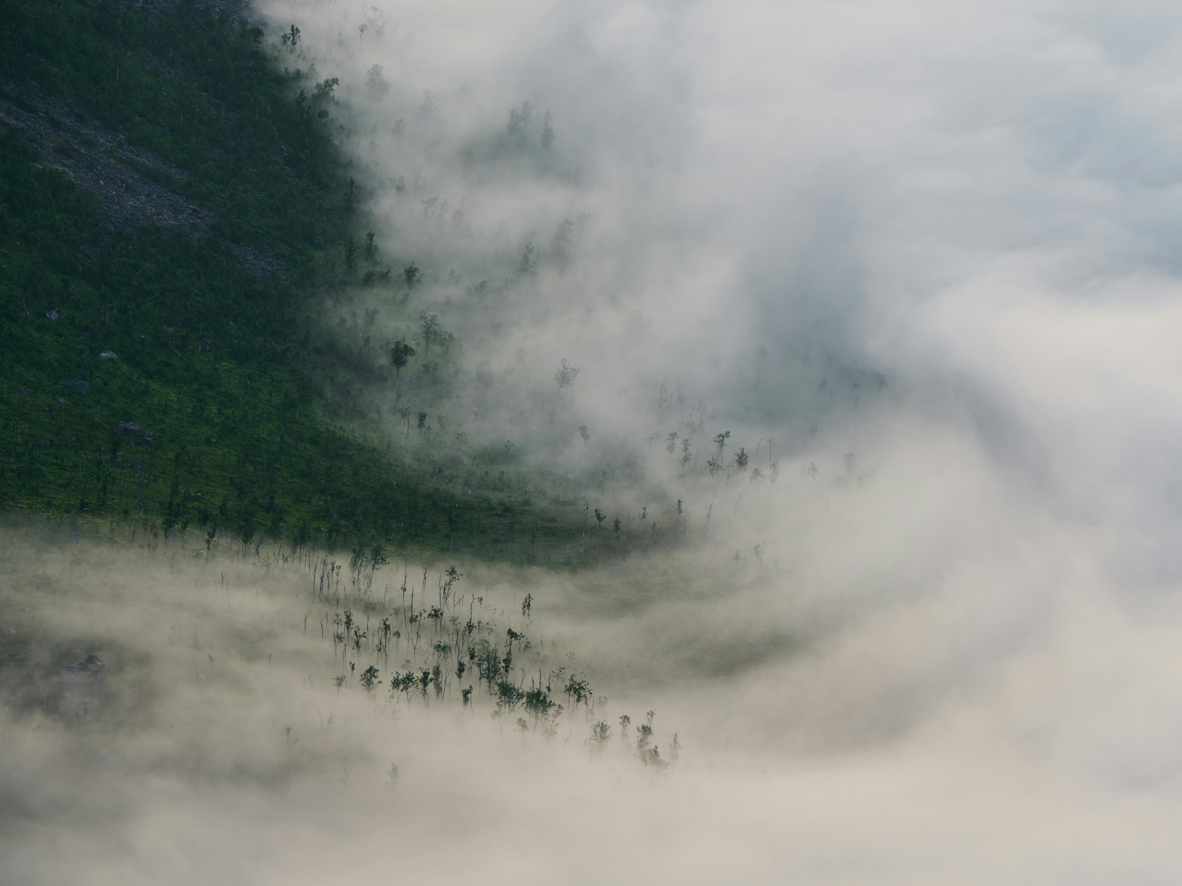 Joshua kettle uce Ga4w Ida A unsplash