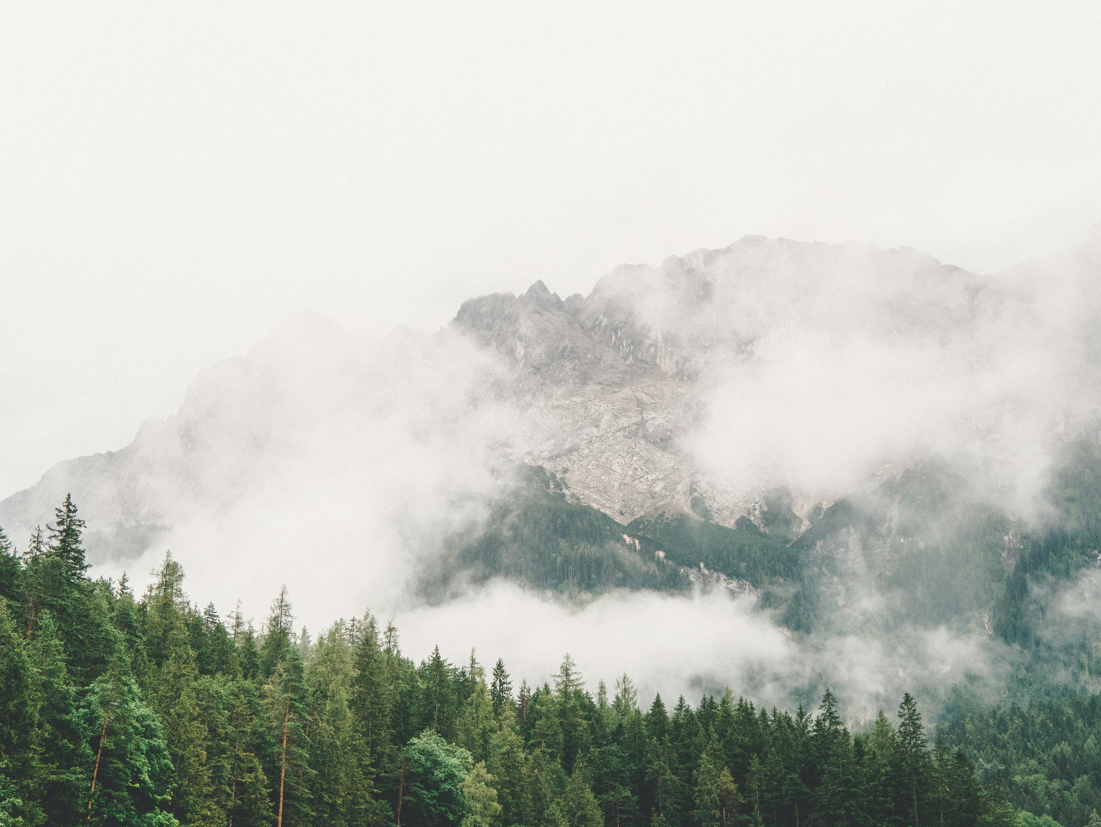 Simon maisch Oj P7a6n6b Cg unsplash