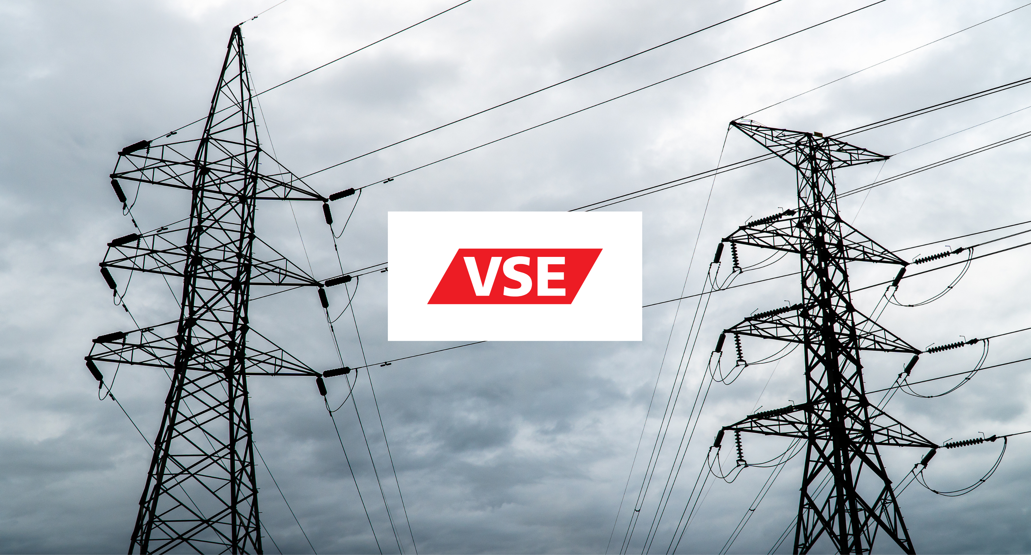 Vse group hero